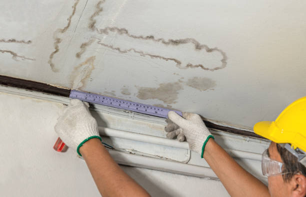 Reliable Burst Pipe Cleanup contractor in Goldvein, VA by Water Damage Irwin